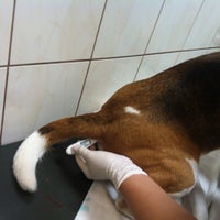 Photo taken at Vet-39 by Яночка Г. on 8/26/2014