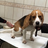 Photo taken at Vet-39 by Яночка Г. on 1/30/2015