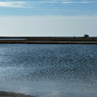 Photo taken at Assateague Island National Seashore (Maryland) by Derek R S. on 12/25/2023