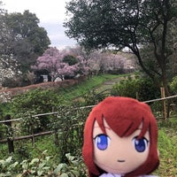 Photo taken at 水田の碑 by シァル 桜. on 3/23/2020