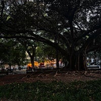 Photo taken at Jardim Constantino by Alex C. on 10/14/2023
