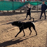 Photo taken at Msgr. McGolrick Park Dog Run by Thibaut P. on 3/17/2019