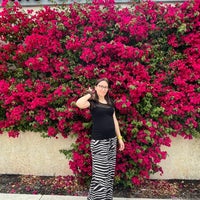Photo taken at Palm Beach Outlets by Martina S. on 4/3/2022