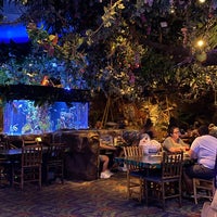 Photo taken at Rainforest Cafe by Martina S. on 11/7/2020
