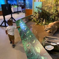 8/15/2020にMartina S.がSouth Florida Science Center and Aquariumで撮った写真