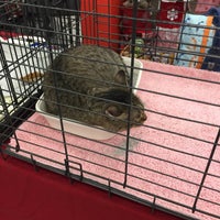 Photo taken at Petco by Danielle L. on 12/18/2017