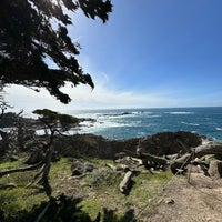 Photo taken at Point Lobos State Reserve by J on 2/22/2024