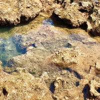 熱帯魚の家 Beach 熱帯魚の家 Beach