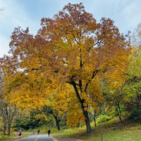 Photo taken at Rock Creek Park by Alan J. on 10/28/2023