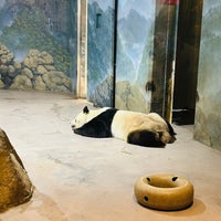 Photo taken at Giant Panda House by Alan J. on 4/17/2023