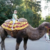 Photo taken at катание на верблюде в Парке Отеле Ярославль by Svetlana I. on 8/8/2013