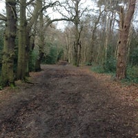 Photo taken at Petts Wood Woods by Lee H. on 1/5/2014