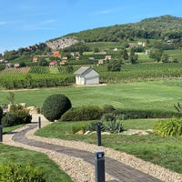 Photo taken at Sauska Winery Villány by Danci .. on 8/19/2020