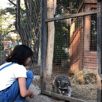 Photo taken at Tbilisi Zoo | თბილისის ზოოპარკი by Dhom on 9/27/2021