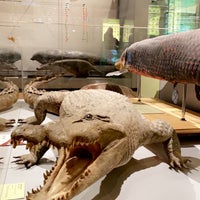 Photo taken at National Museum of Natural Sciences by 𝐌 on 11/29/2022