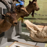 Photo taken at National Museum of Natural Sciences by 𝐌 on 11/29/2022