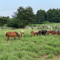 Photo taken at Hattori Farm by Motoyuki F. on 8/20/2023