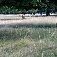 Photo taken at Hampton Court Coach Park by sangamon t. on 7/30/2023