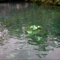 9/13/2013 tarihinde Pep L.ziyaretçi tarafından Cenotes LabnaHa'de çekilen fotoğraf