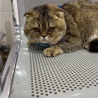 Снимок сделан в Joon Veterinary Clinic &amp;amp; Pet Shop пользователем Lili . 8/12/2023