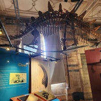 Photo taken at Dinosaur Gallery by Sukhatai on 10/10/2023