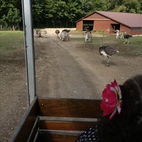 8/9/2013に☀️ Lisa M.がWagon Trails Animal Parkで撮った写真