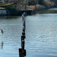 Photo taken at Senzoku Pond by Fumiaki A. on 2/3/2024