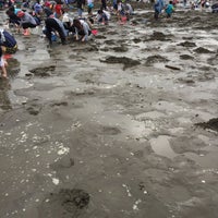 富津海岸潮干狩り場 富津市 336 Ziyaretcidan 5 Tavsiye