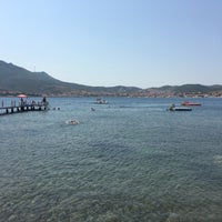 foca polis evi foca polis evi