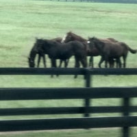 Foto diambil di Gypsy Gold Horse Farm oleh Michelle A G. pada 11/6/2019