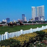 Mahalaxmi Race Course (Royal Western India Turf Club) Worli 43 tips Mahalaxmi Race Course (Royal Western India Turf Club) Worli 43 tips