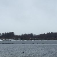 Photo taken at Цнянское водохранилище by Lenka S. on 11/30/2015