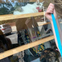 7/5/2019にSydney K.がJava Cats Caféで撮った写真