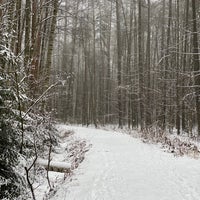 Photo taken at Ржевский лесопарк by Ειρήνη on 12/20/2020