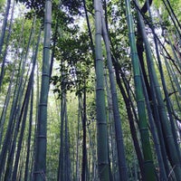 Photo taken at Arashiyama Bamboo Grove by Jimmy Chun-Hsien F. on 6/11/2016