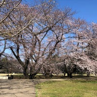 Photo taken at 砧公園ランニングコース by きん on 3/24/2020