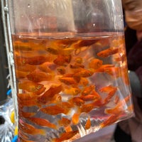 Photo taken at Goldfish Market by Kelvin W. on 1/9/2021