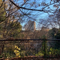 Photo taken at 茅ヶ崎公園 by Tommy007 on 12/25/2020