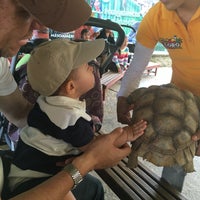 9/25/2016 tarihinde Yol P.ziyaretçi tarafından Zoo Parque Loro'de çekilen fotoğraf