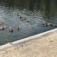 Photo taken at The Duck Pond by Katia P. on 6/21/2018