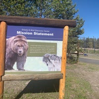 grizzly discovery wolf center