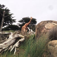 Photo taken at San Francisco Zoo by Galina P. on 5/15/2013