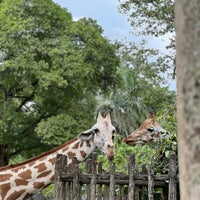 Photo taken at Zoo Taiping &amp;amp; Night Safari by Syazwan H. on 12/16/2023