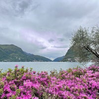 Foto scattata a Lugano da Khalid• il 4/21/2024