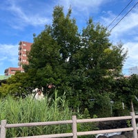 Photo taken at 左近川親水緑道 by カメハメハ 大. on 8/1/2022