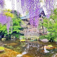 Photo taken at 西新井大師 總持寺 by カメハメハ 大. on 4/20/2024