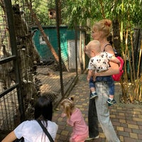 Photo taken at Ялтинский зоопарк «Сказка» / Yalta Zoo by Dim G. on 9/15/2021