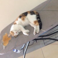 KYK Nilüfer Hatun Öğrenci Yurdu - Altınşehir - Nilüfer, Bursa