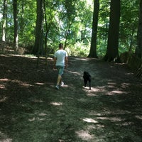 Photo taken at Bois du Laerbeek / Laarbeekbos by Marie V. on 8/17/2016