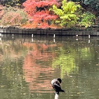 Photo taken at Sanpoji Pond by つきみの t. on 12/5/2023